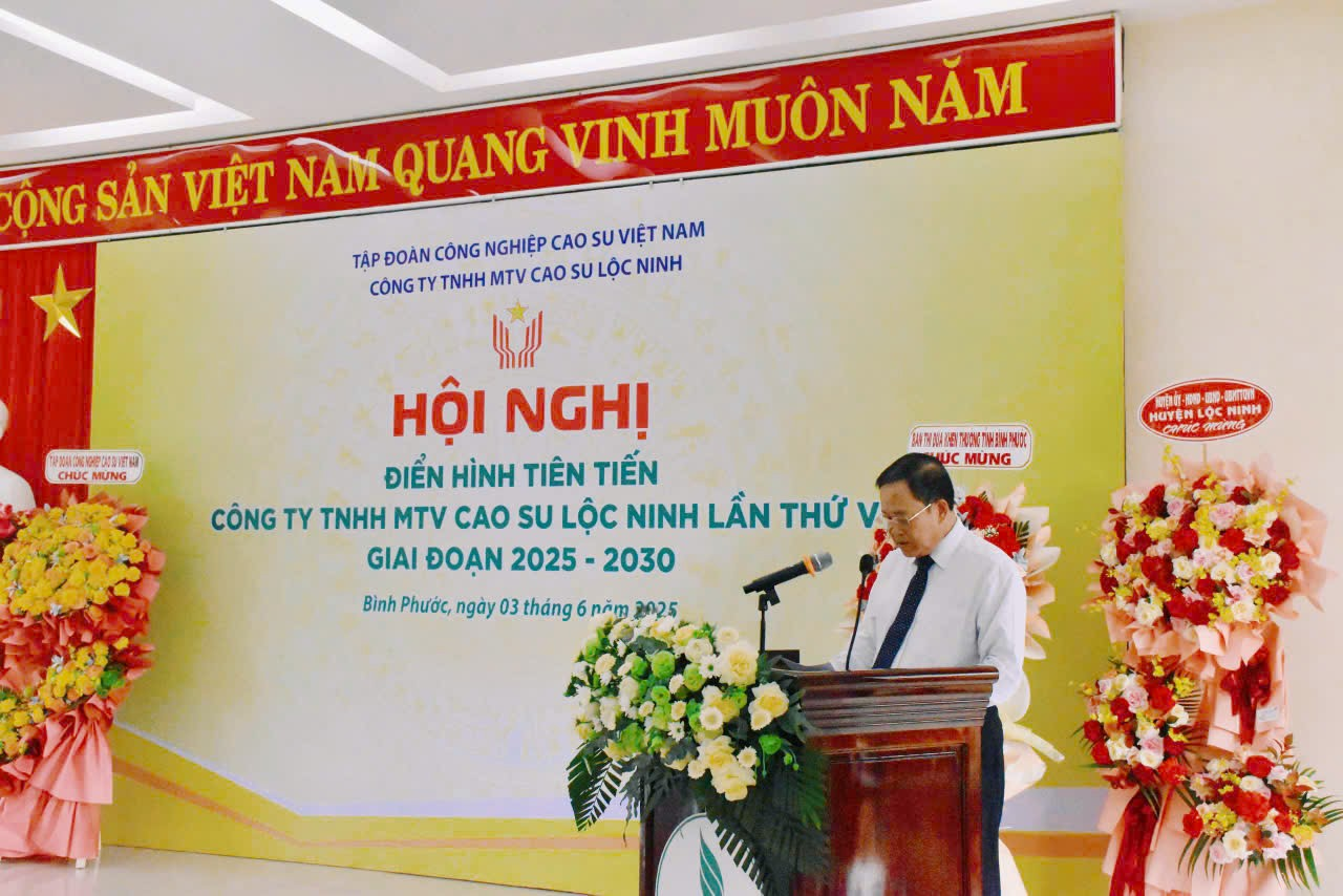 Ông Lê Thanh Nghị – Phó Bí thư Đảng ủy, TV HĐTV, Tổng giám đốc Công ty đánh giá kết quả thực hiện các phong trào thi đua của Công ty